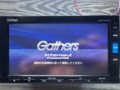 Gathers VXM ����