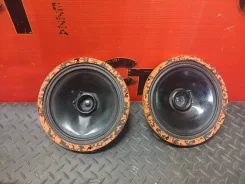 DL Audio ����