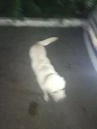 ������. ����