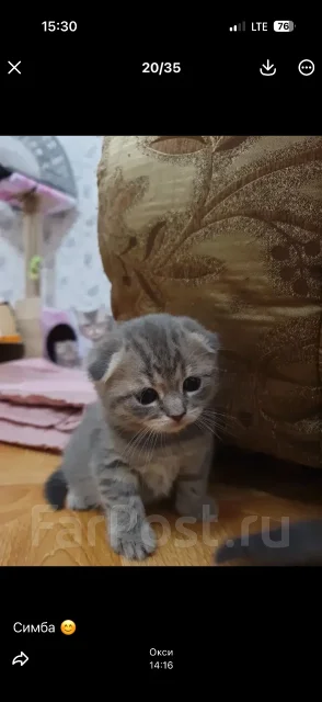 ����������� ��������� �����. ����