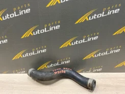 �������� ��������� Nissan AD 1999-2008 215014M400 VFY11 QG15DE 215014M400 ����