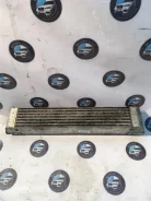 �������� ���������� ������� (����������) BMW 17517795823 E60 M57/T2 17517795823 ����