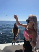 �����������. ������� �����. 26 �������� - ������� �������� � ������� �. ����������� ����