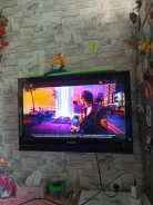 �����. ������ ����