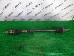 ������ Nissan BZ11 ����������� (��������, �����, ) 22166 ����