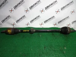 ������ Honda RF1 ����������� (��������, ����, ) 11717 ����
