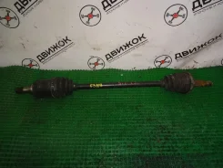 ������ Toyota ST215 ����������� (������) 53819 ����