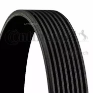 ������ �������� Contitech 8PK1545 Contitech 8PK1545 8PK1545 ����