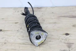 ������ Nissan Y51 ����������� (��������, ����, ) 314563 ����