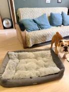 ������ ������� ��� ������� ����� ����