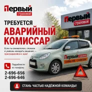 ��������� ��������. ��� ������� ��������ɻ. ����� ������ 48� ����