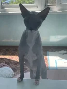 ������. ����
