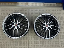 Kyoho Steiner LMX
