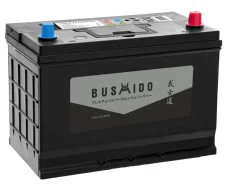 Bushido. 100��.�., D31, 850��., ��������, ������������ ������ ����