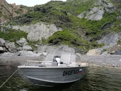 Wyatboat WB-460. 2019 ���, ����� 4,6��., ��������� ���������, 25��.�., ������ ����