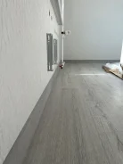 ������ �����. ����