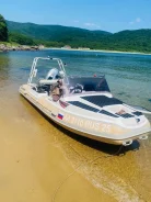 Skylark. 2025 ���, ����� 4,5��., ��������� ���������, 60��.�., ������. ��� ����� �� ������� ����