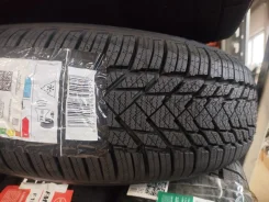 RoyalBlack Royal Winter HP. ������, ��� �����, 2025 ���, ����� ����