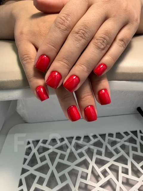 ����� ����
