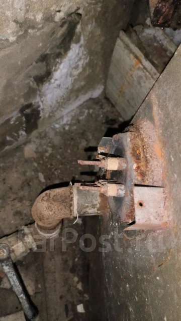 ����� ����