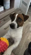 ����-������-������. ����
