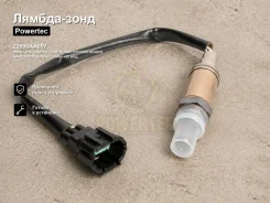 ������-���� Mazda, Kia, Hyundai, Ford, Nissan, Infiniti Elgrand, Hardbody, X-Trail, Homy, Skyline, Presea, Pulsar, Sunny, Sentra, Avenir, Expert, NP30...
