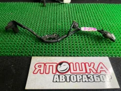 ������ ABS Toyota Vista 8954532030 SV40, ������ ������ 8954532030 ����