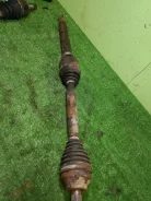 ������ Ford Focus 1685795, �������� ������ 1685795 ����