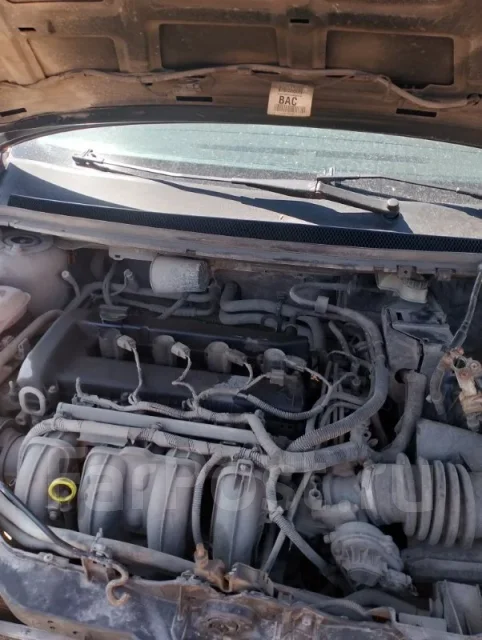 ���������� ������������ Ford Focus 1368905 1368905 ����