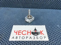 ����� ���������� Audi Q7 4L 2008 N10566103 BAR, �������� N10566103 ����
