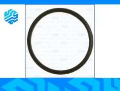 ��������� ���������� Ajusa 00520000 00520000 ����