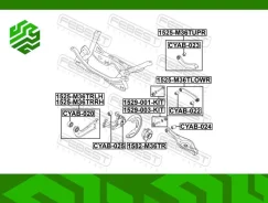 ���� ������ ���������� Febest 1525M36Tlowr ������, �����/������ 1525M36TLOWR ����