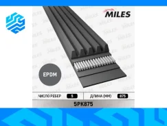 ������ ��������� Miles 5PK875 5PK875 ����