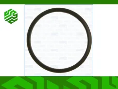 ��������� ���������� Ajusa 00520000 00520000 ����