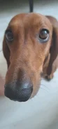 �����. ����