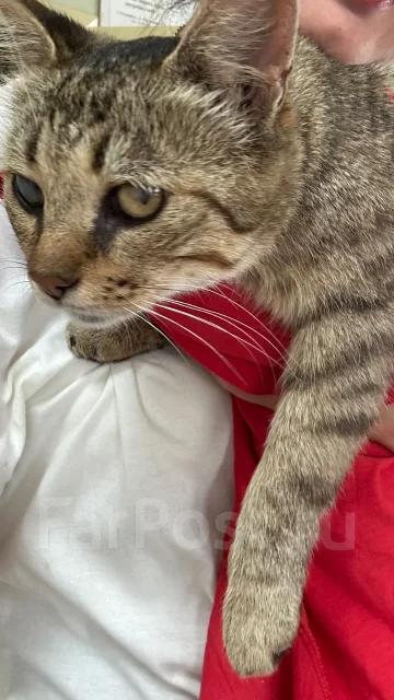 ������������ ����� ����