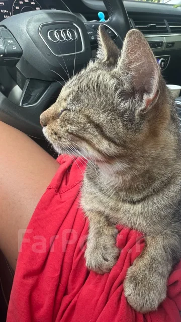 ������������ ����� ����
