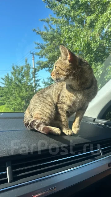 ������������ ����� ����