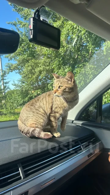 ������������ ����� ����