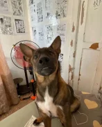 �������. ����