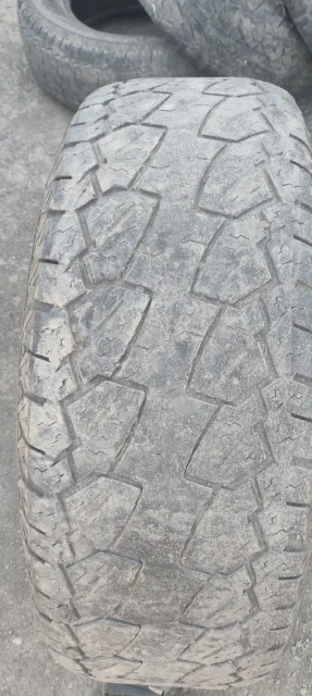 Kapsen PracticalMax A/T AT02. ����� at, �/�, ����� 30 % ����