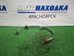 ������-���� Honda FIT 2001-2008 36532PWAJ02 GD1 L13A, ������ 36532PWAJ02 ����