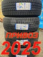 Triangle Snowlink PL01. ������, ��� �����, 2024 ���, ����� ����