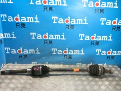 ������ �������� ������ M272E35 W164. ��������. ������ 107.081��. �������� A1643302401 ����