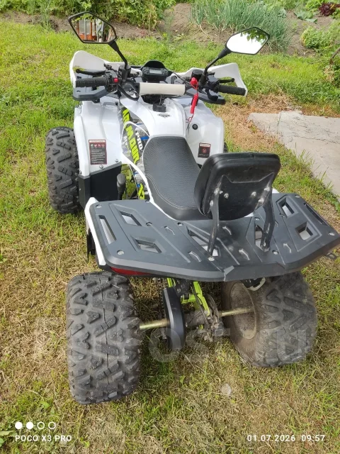 Yamaha Grizzly 125. ��������, ��� ���\���, �� ����
