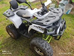 Yamaha Grizzly 125. ��������, ��� ���\���, �� ����