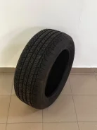 Tigar SUV Summer