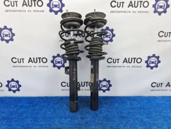 ����������� �������� BMW 3 2007 31316786006 E90 N46B20BA, �������� 31316786006 ����