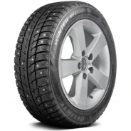Delinte Winter WD52