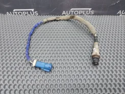 ������ ����������� Ford Focus 1351337 ������� 1.6 IQDA 1351337 ����